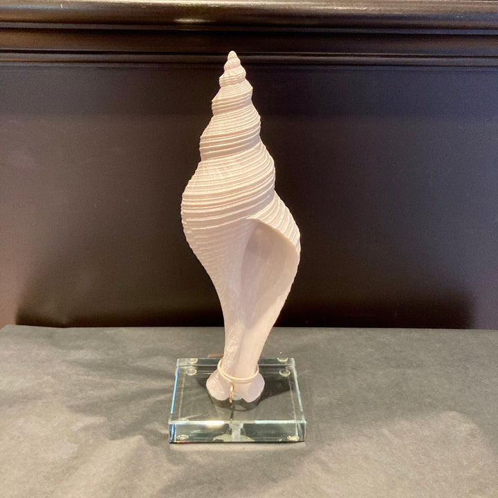 Serafina Sea Shell on Stand