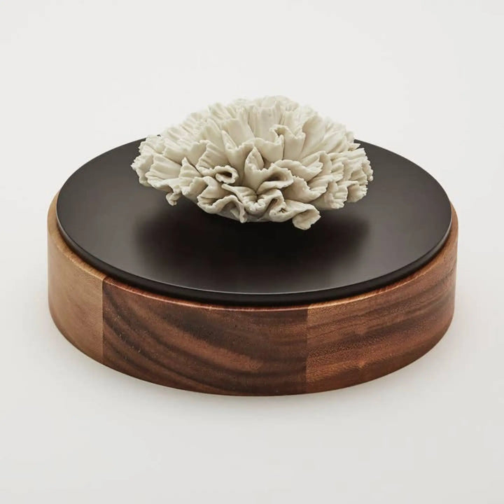 Wood and Porcelain Box - 20 cm - Chan Xl