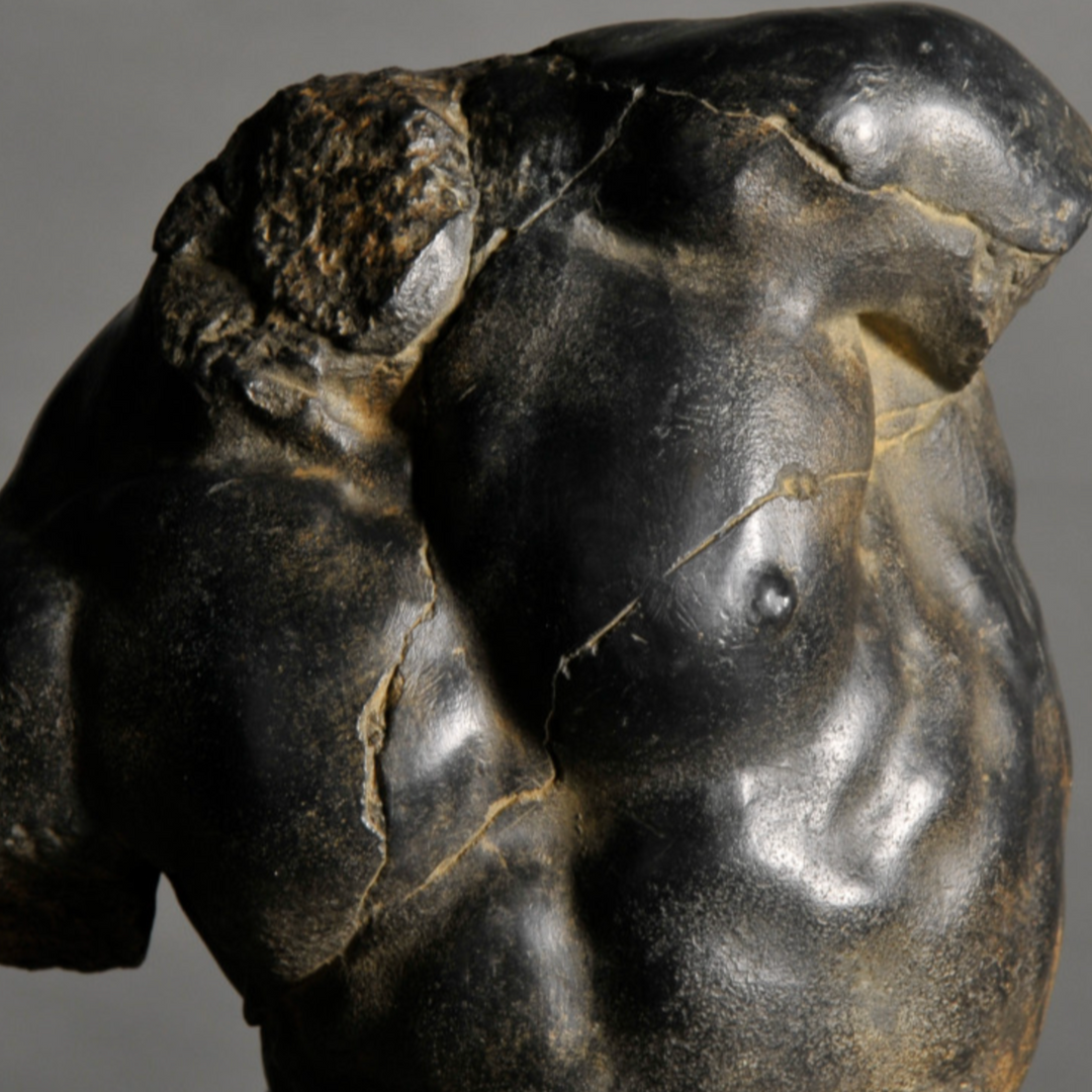 Black Apollo Torso Small