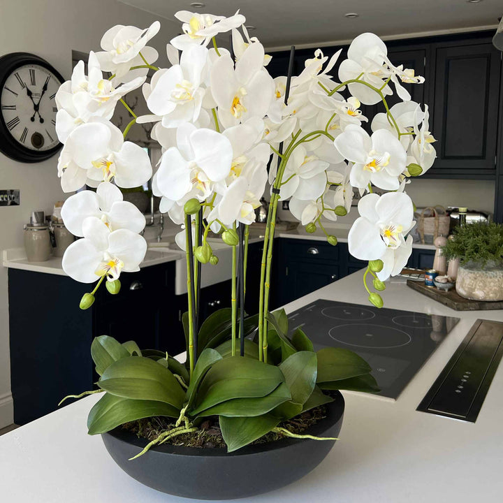 Orchids in Black Matt Bowl