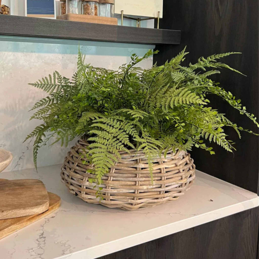 Ferns in a Wicker Basket