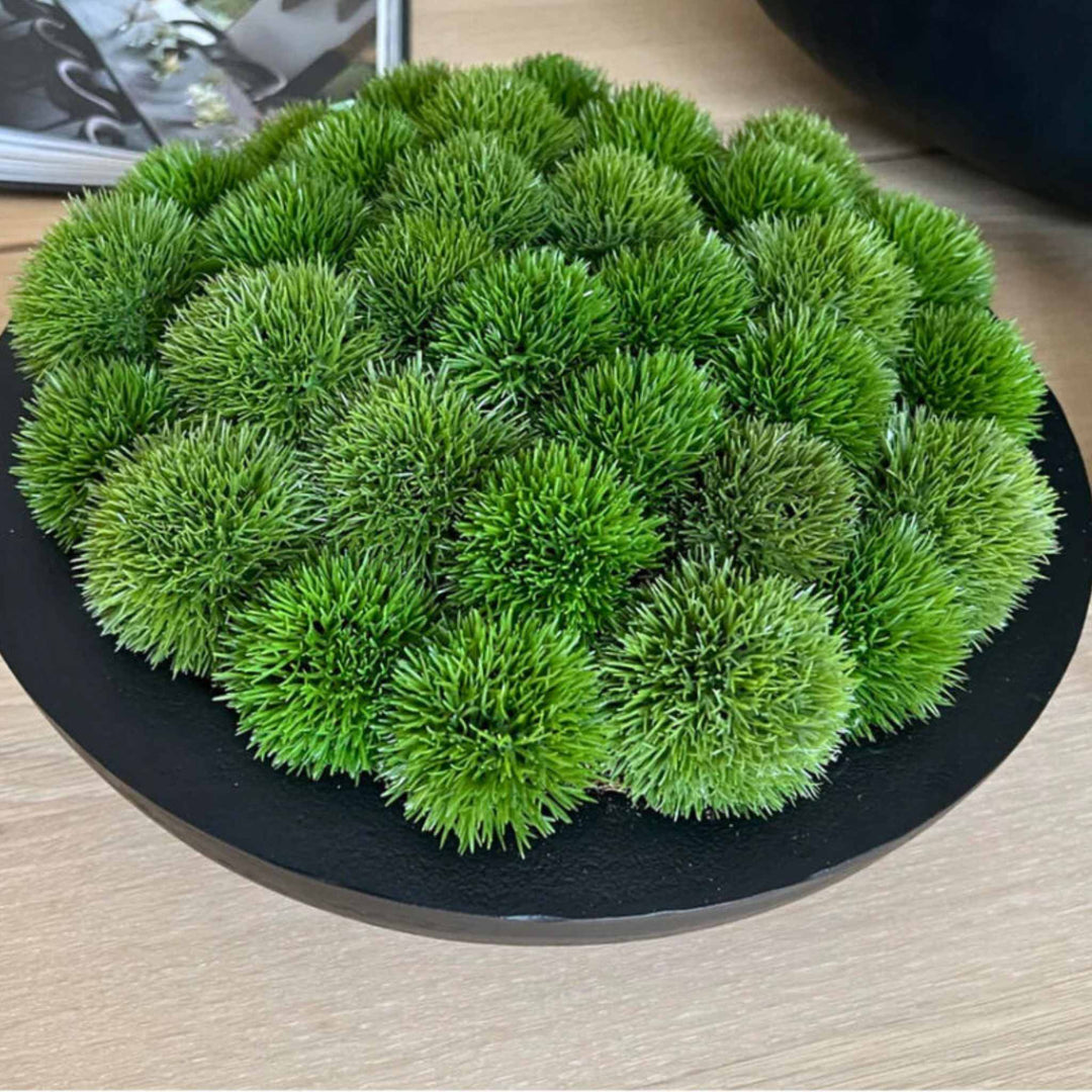 Dianthus in a Black Metallic Bowl Medium