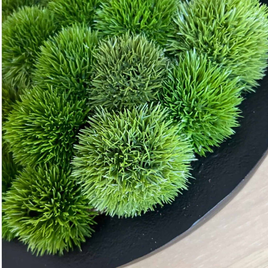 Dianthus in a Black Metallic Bowl