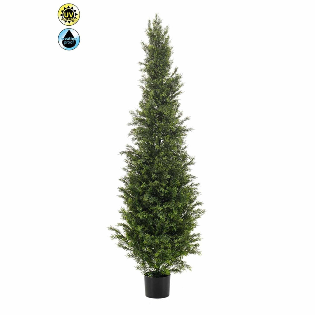 Cedar Potted Tree - Green 2.5m