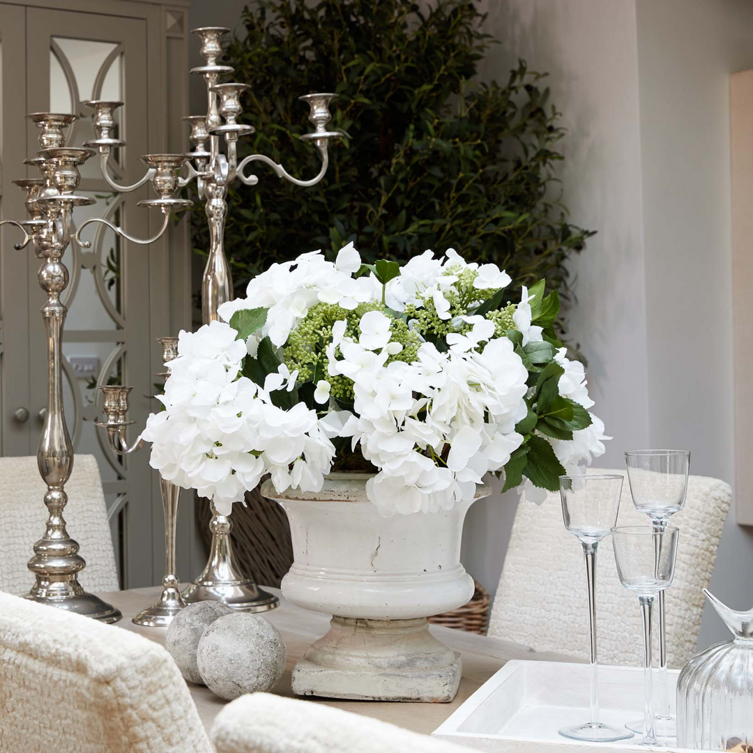 Hydrangea in Stone Urn