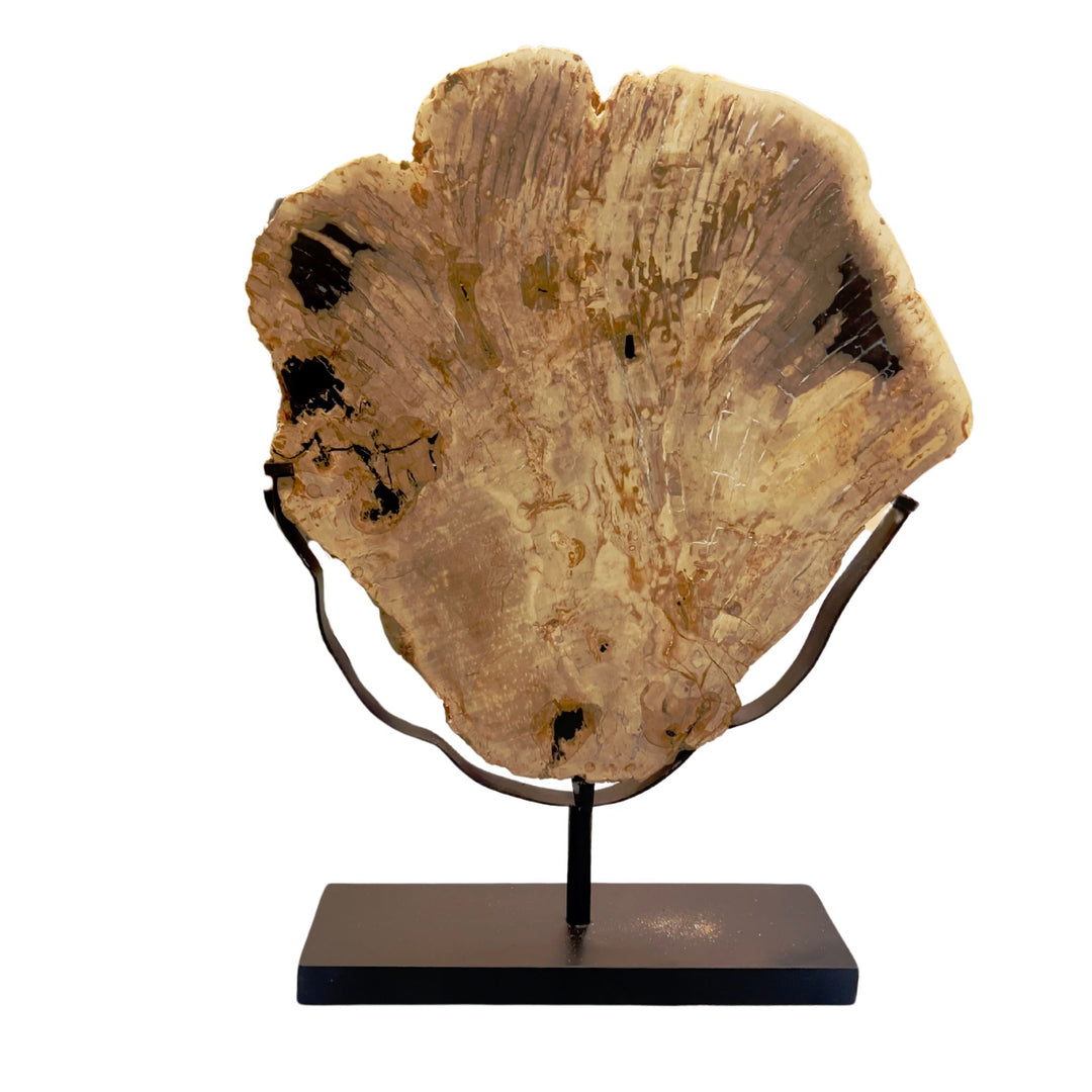 Petrified Slice Wood on Stand XXL