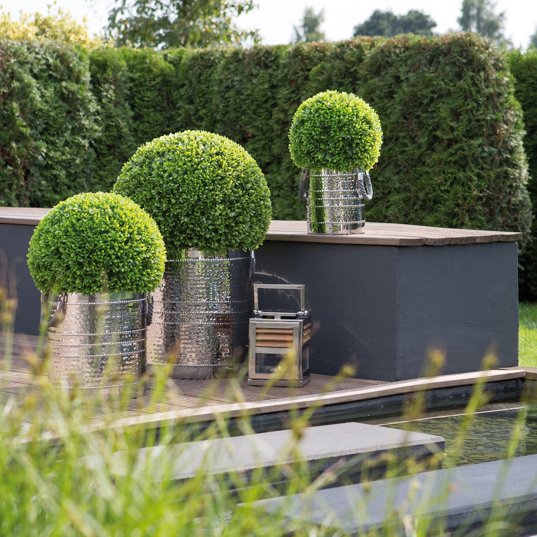 Boxwood Ball